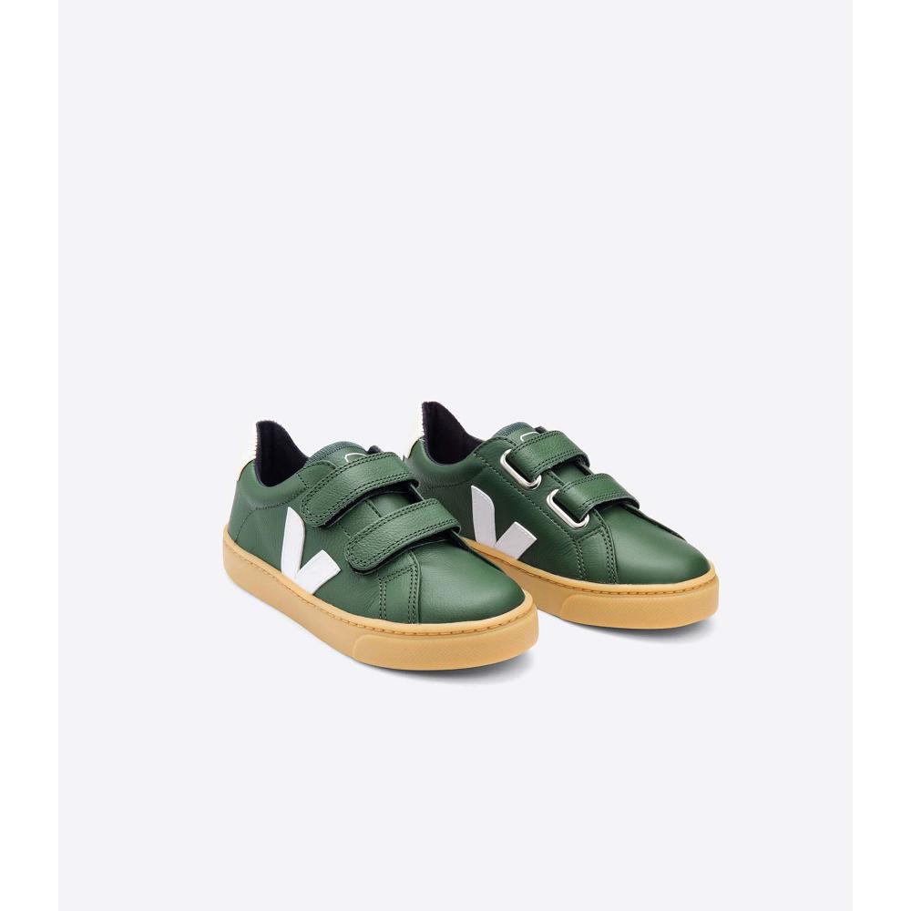 Green Kids' Veja ESPLAR LEATHER Shoes | AU 736TCE